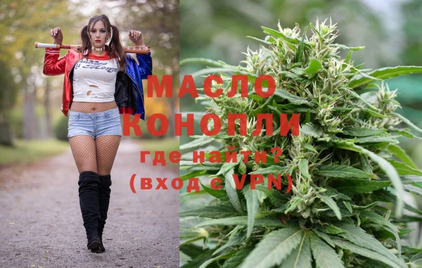 индика Грязи